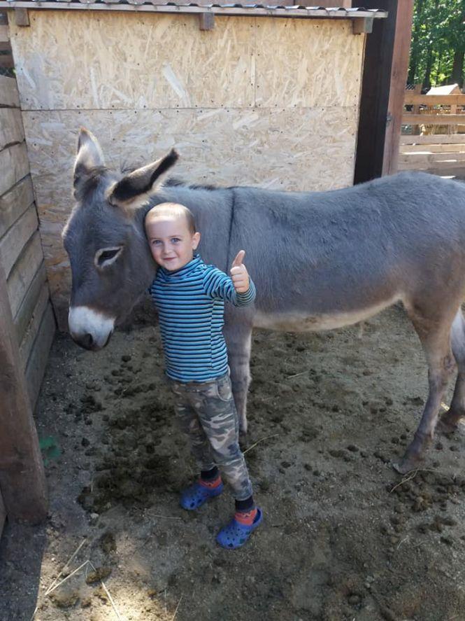 Новини Вінниці - фото з «Деякі тварини розумніші за людей»: подружжя з Хрінівки 10 років допомагає приреченим звірям «Деякі тварини розумніші за людей»: подружжя з Хрінівки 10 років допомагає приреченим звірям, фото №7 на сайті 20minut.ua