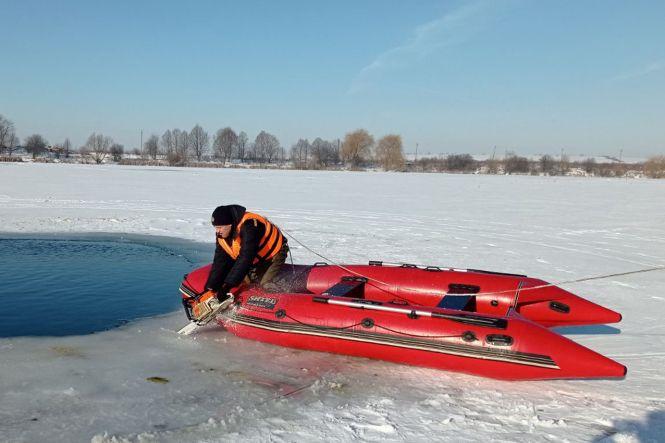 На Хмельниччині рятувальники звільнили лебедів із замерзлого озера, фото №2 на сайті vsim.ua