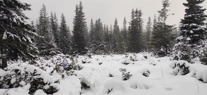 Як козятинчанин на Говерлу сходив, фото №1 на сайті 20minut.ua