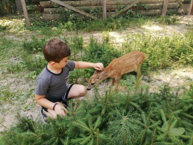 Новини Вінниці - фото з «Деякі тварини розумніші за людей»: подружжя з Хрінівки 10 років допомагає приреченим звірям «Деякі тварини розумніші за людей»: подружжя з Хрінівки 10 років допомагає приреченим звірям, фото №3 на сайті 20minut.ua