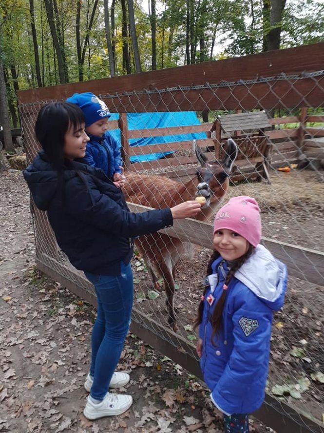 Новини Вінниці - фото з «Деякі тварини розумніші за людей»: подружжя з Хрінівки 10 років допомагає приреченим звірям «Деякі тварини розумніші за людей»: подружжя з Хрінівки 10 років допомагає приреченим звірям, фото №2 на сайті 20minut.ua