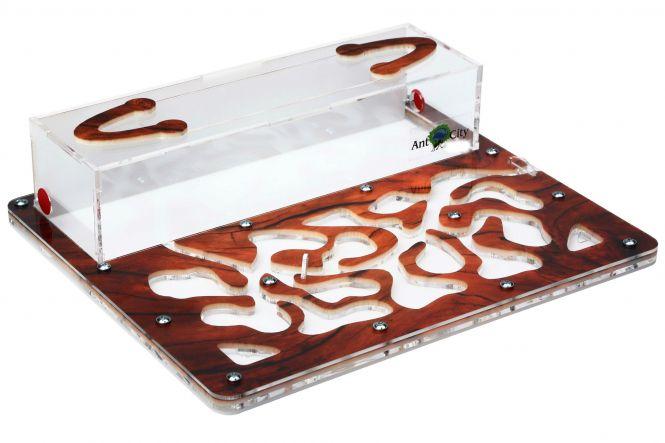 Новини Тернополя - фото з Білки, павуки, змії та хамелеони. Яких ще незвичних тварин мають тернополяни і скільки витрачають на них Білки, павуки, змії та хамелеони. Яких ще незвичних тварин мають тернополяни і скільки витрачають на них, фото №8 на сайті 20minut.ua