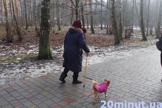 Хтось гуляє з дітьми на майданчиках, а хтось – йде на лід. Як відпочивають тернополяни (ФОТОРЕПОРТАЖ), фото №5 на сайті 20minut.ua