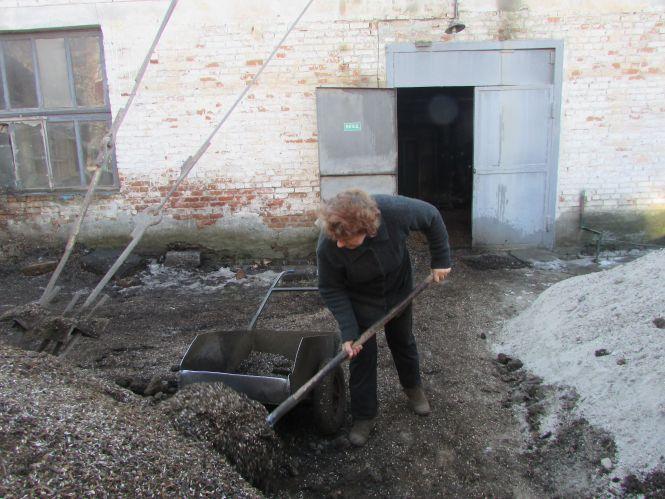 Прогулянка Козятинщиною: нечистоти на дорозі, аварійні дерева, жінка-кочегар, фото №5 на сайті 20minut.ua