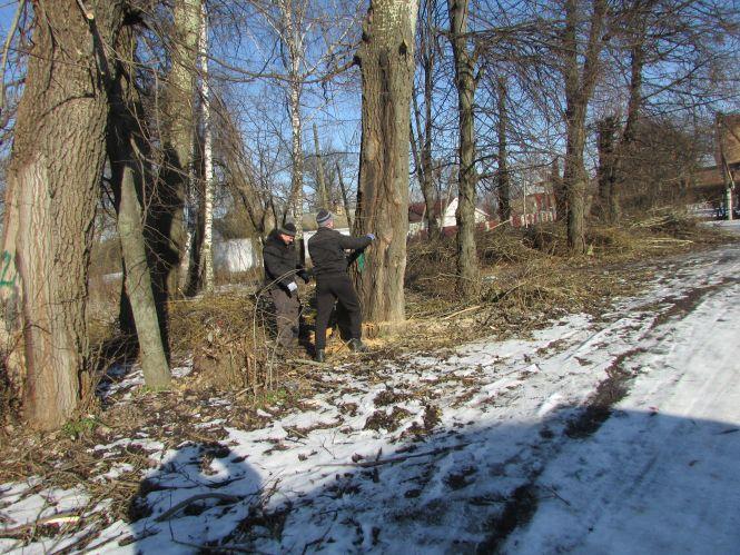 Новини Козятина - фото з Прогулянка Козятинщиною: нечистоти на дорозі, аварійні дерева, жінка-кочегар