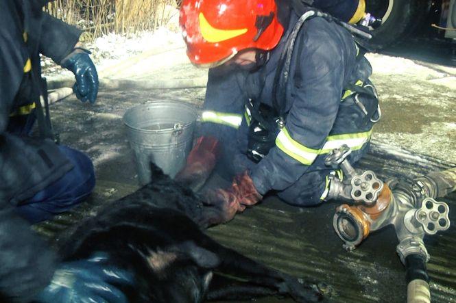 У Хмельницькому горіла квартира у багатоповерхівці (ФОТО, ВІДЕО), фото №1 на сайті vsim.ua