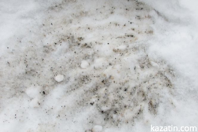 Екологи приїжджали в Козятин, щоб зафіксувати в повітрі викиди продуктів згоряння, фото №4 на сайті 20minut.ua