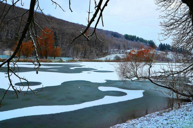 На Тернопільщині кілька років поспіль залишаються зимувати лебеді. Коли їм потрібно допомагати?, фото №1 на сайті 20minut.ua