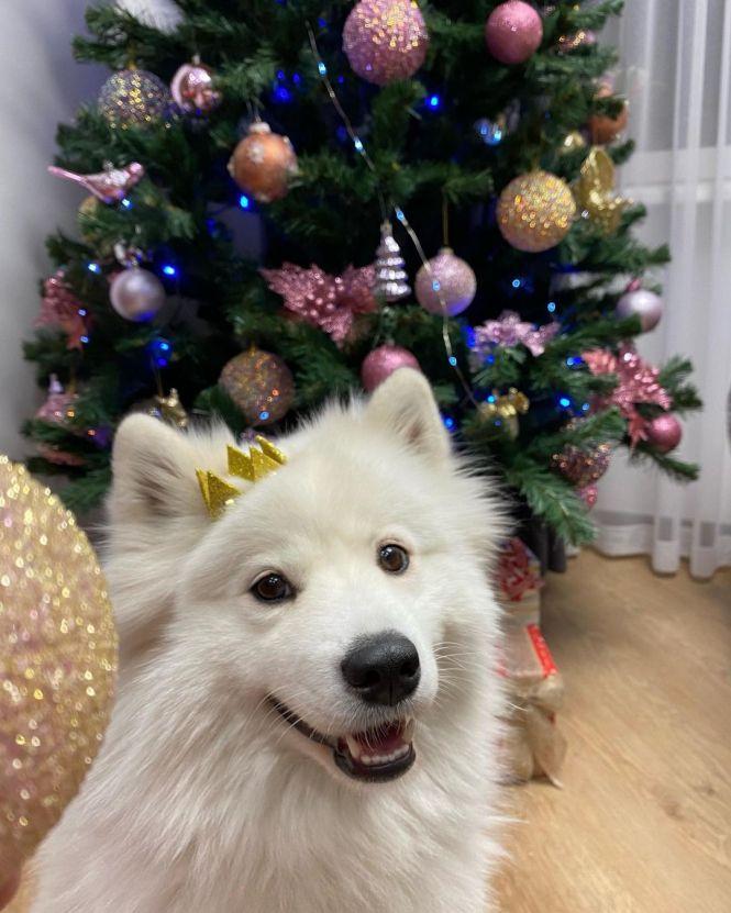 Новини Хмельницького - фото з ТОП-10 фото січня, які хмельничани публікували в Instagram ТОП-10 фото січня, які хмельничани публікували в Instagram, фото №1 на сайті vsim.ua