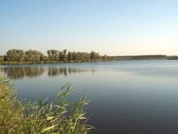 Новини Вінниці - фото з Ловися, рибко, велика і маленька... Хочете взяти в оренду ставок? Ми дізнались, як це зробити Ловися, рибко, велика і маленька... Хочете взяти в оренду ставок? Ми дізнались, як це зробити, фото №2 на сайті 20minut.ua