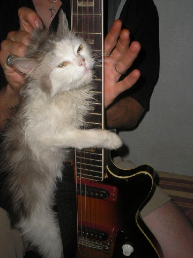 Козятинський рок-гурт, учасник якого став священиком — «Шмідта 26» («Shmidta 26»), фото №6 на сайті 20minut.ua