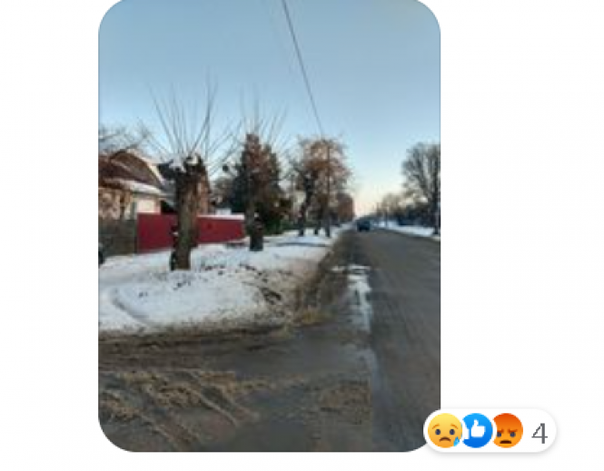 «У нас був акт на 55 дерев, а ми видалили 12»: чому на Новому бульварі знищили озеленення, фото №5 на сайті 20minut.ua