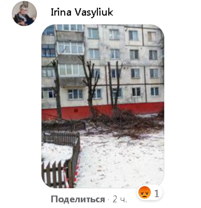 «У нас був акт на 55 дерев, а ми видалили 12»: чому на Новому бульварі знищили озеленення, фото №3 на сайті 20minut.ua