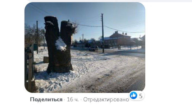 «У нас був акт на 55 дерев, а ми видалили 12»: чому на Новому бульварі знищили озеленення, фото №4 на сайті 20minut.ua