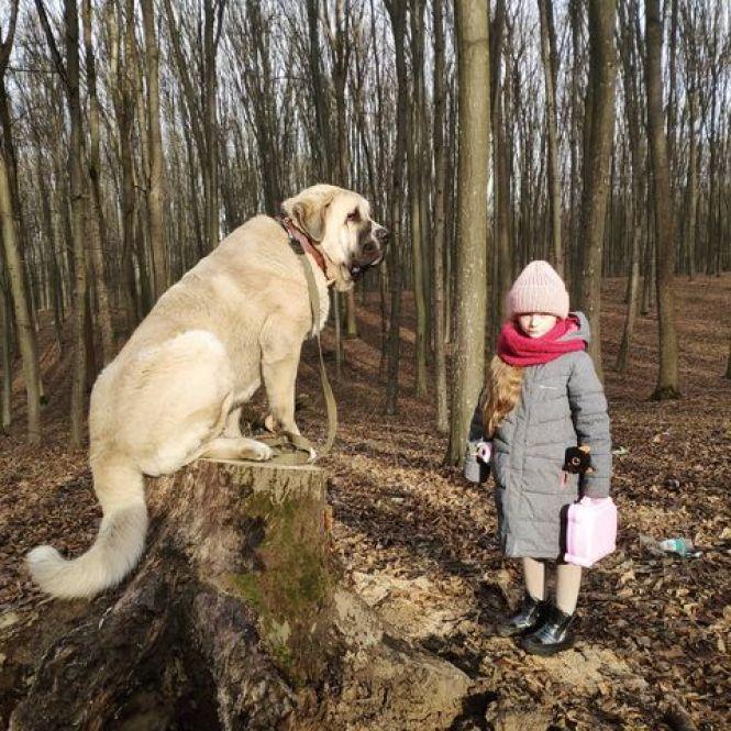 Новини Вінниці - фото з «Дай5!». Вінничанин запустив благодійний челендж, де за добру справу можна отримати призи «Дай5!». Вінничанин запустив благодійний челендж, де за добру справу можна отримати призи, фото №1 на сайті 20minut.ua