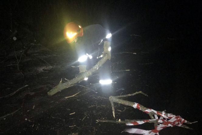 Негода на Хмельниччині: вітер повалив дерева у кількох районах, фото №1 на сайті vsim.ua