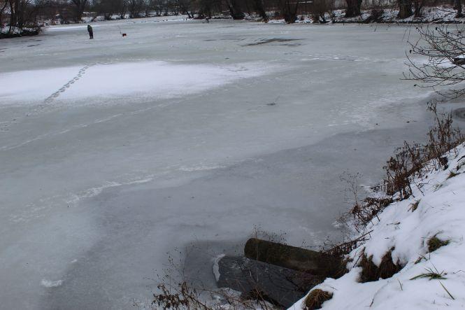 Новини Козятина - фото з У водокачку з насосної станції рибі поступає «свіженький корм» У водокачку з насосної станції рибі поступає «свіженький корм», фото №1 на сайті 20minut.ua