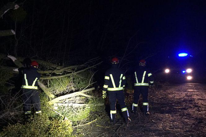 Негода на Хмельниччині: вітер повалив дерева у кількох районах, фото №3 на сайті vsim.ua