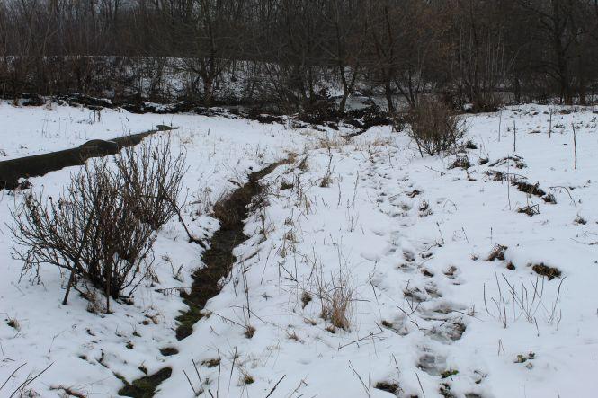 Новини Козятина - фото з У водокачку з насосної станції рибі поступає «свіженький корм» У водокачку з насосної станції рибі поступає «свіженький корм», фото №3 на сайті 20minut.ua