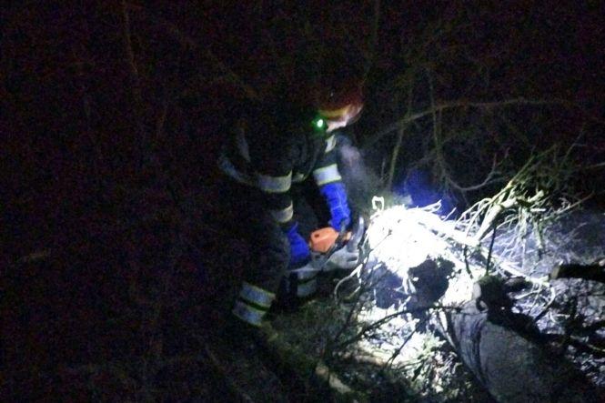 Негода на Хмельниччині: вітер повалив дерева у кількох районах, фото №2 на сайті vsim.ua