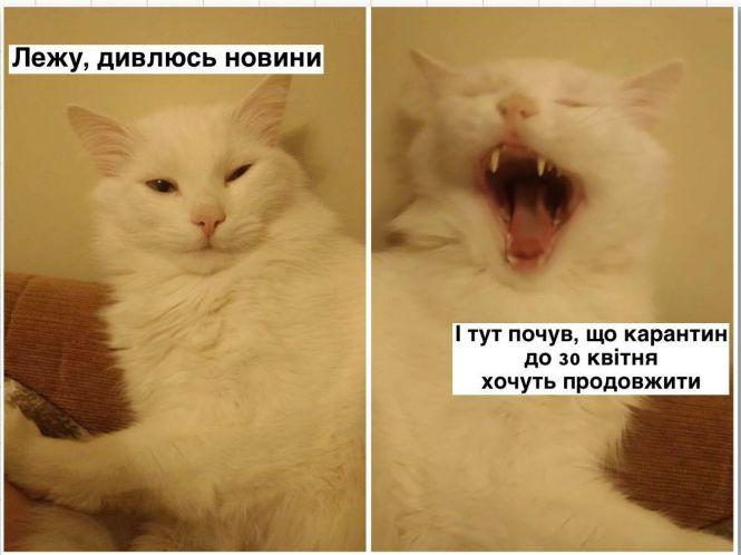 Фотожаби на актуальні теми: підбірка "20 хвилин" за тиждень, фото №4 на сайті 20minut.ua