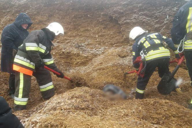 Новини Хмельницького - фото з На Хмельниччині у силосній ямі загинув чоловік, ще двоє постраждали (ВІДЕО) На Хмельниччині у силосній ямі загинув чоловік, ще двоє постраждали (ВІДЕО), фото №1 на сайті vsim.ua