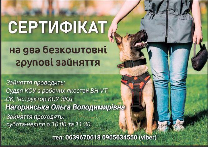 Новини Вінниці - фото з Поїздка в Карпати й заняття з кінологом. Що ще можна виграти за участь у челенджі «Дай5»? Поїздка в Карпати й заняття з кінологом. Що ще можна виграти за участь у челенджі «Дай5»?, фото №11 на сайті 20minut.ua