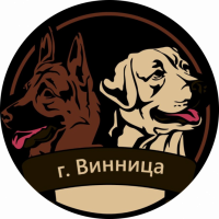 Новини Вінниці - фото з Поїздка в Карпати й заняття з кінологом. Що ще можна виграти за участь у челенджі «Дай5»? Поїздка в Карпати й заняття з кінологом. Що ще можна виграти за участь у челенджі «Дай5»?, фото №10 на сайті 20minut.ua