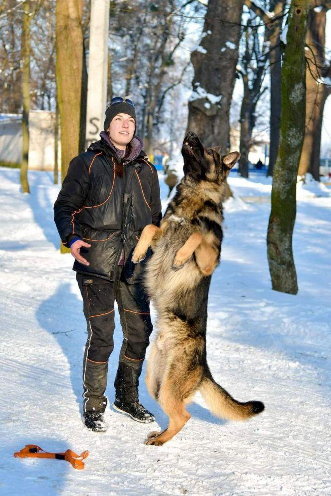 Новини Вінниці - фото з Поїздка в Карпати й заняття з кінологом. Що ще можна виграти за участь у челенджі «Дай5»? Поїздка в Карпати й заняття з кінологом. Що ще можна виграти за участь у челенджі «Дай5»?, фото №12 на сайті 20minut.ua