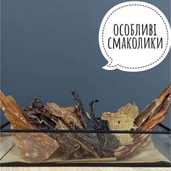 Новини Вінниці - фото з Поїздка в Карпати й заняття з кінологом. Що ще можна виграти за участь у челенджі «Дай5»? Поїздка в Карпати й заняття з кінологом. Що ще можна виграти за участь у челенджі «Дай5»?, фото №13 на сайті 20minut.ua