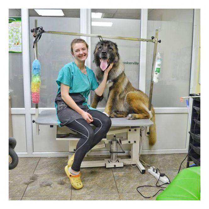 Новини Вінниці - фото з Поїздка в Карпати й заняття з кінологом. Що ще можна виграти за участь у челенджі «Дай5»? Поїздка в Карпати й заняття з кінологом. Що ще можна виграти за участь у челенджі «Дай5»?, фото №9 на сайті 20minut.ua