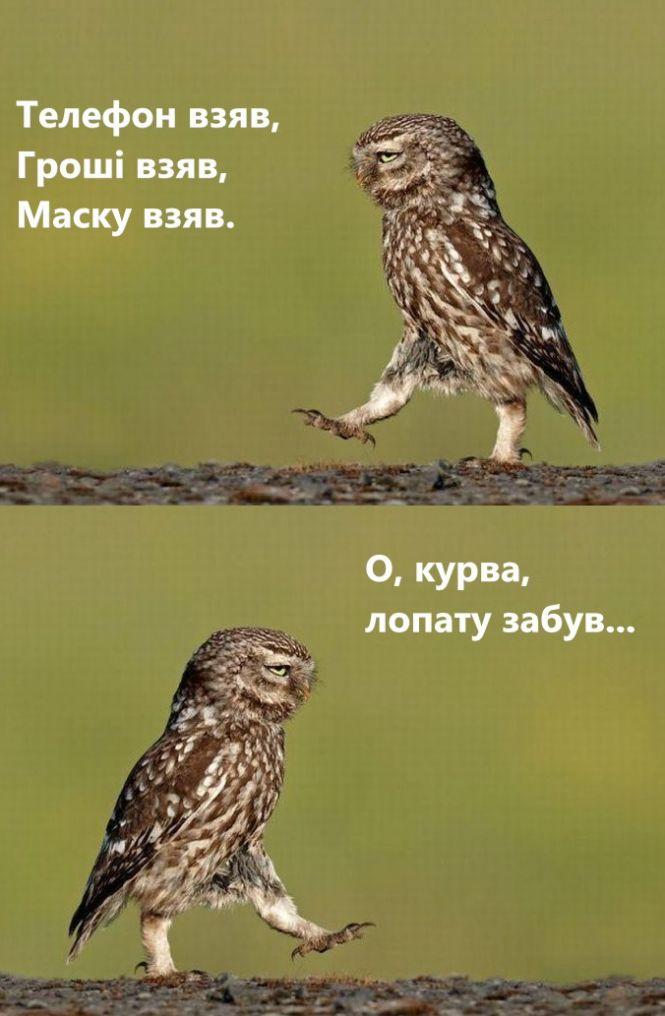 Новини Тернополя - фото з Фотожаби на актуальні теми: підбірка "20 хвилин" за тиждень Фотожаби на актуальні теми: підбірка "20 хвилин" за тиждень, фото №2 на сайті 20minut.ua