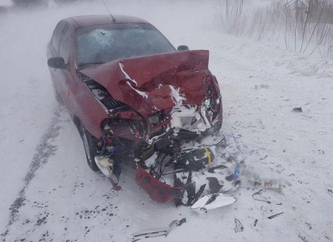 Новини Вінниці - фото з Аварія з поліцією, заметені дороги та замерзлі собаки: важливе за 13 лютого на 20minut.ua Аварія з поліцією, заметені дороги та замерзлі собаки: важливе за 13 лютого на 20minut.ua, фото №4 на сайті 20minut.ua