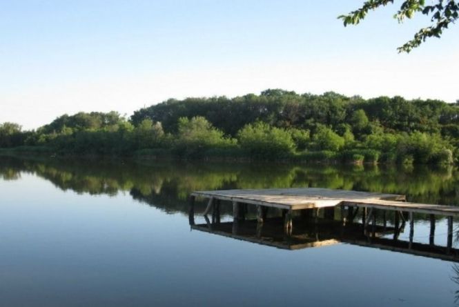 «Тут водне плесо майже 70 гектарів». На аукціон виставили найбільший в області ставок