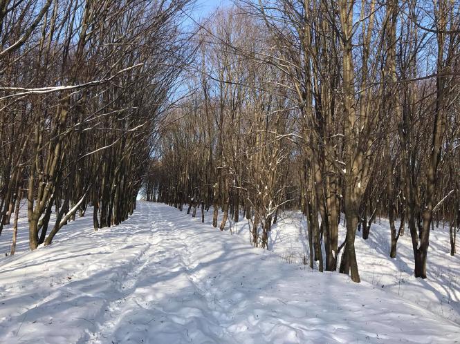 Новини Хмельницького - фото з Замість Буковеля - хмельницька “Медвежка”. Репортаж з популярного в місті схилу Нет описания.