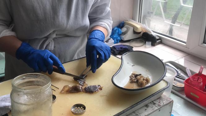 Новини Хмельницького - фото з Морг у Хмельницькому. Як влаштований і що там показали журналістам ВСІМ Нет описания.