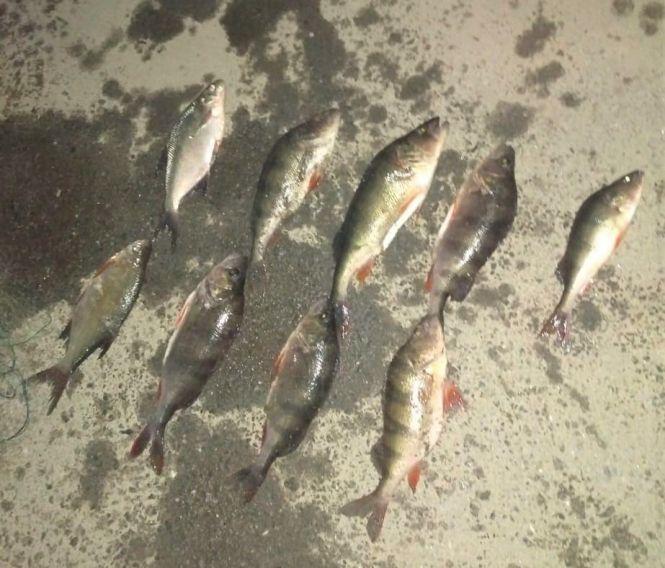 Новини Хмельницького - фото з На Хмельниччині спіймали браконьєрів з сітями (ФОТО)