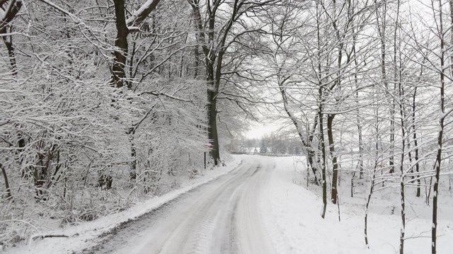 Новини Вінниці - фото з Сьогодні відзначаємо міжнародний день кота та іменини в Микити: історія, традиції 17 лютого 17 лютого 2021 – яке сьогодні свято: традиції, заборони і прикмети - фото 448073