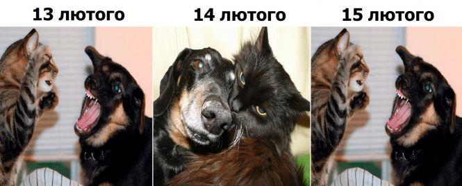 Новини Тернополя - фото з Фотожаби на актуальні теми: підбірка "20 хвилин" за тиждень Фотожаби на актуальні теми: підбірка "20 хвилин" за тиждень, фото №1 на сайті 20minut.ua