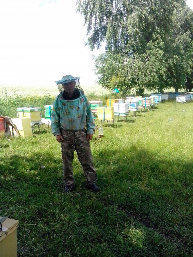 Новини Вінниці - фото з Подарували на іменини… бджіл. Як чиновник став пасічником і для чого він робить вулик зі скла? Подарували на іменини… бджіл. Як чиновник став пасічником і для чого він робить вулик зі скла?, фото №1 на сайті 20minut.ua