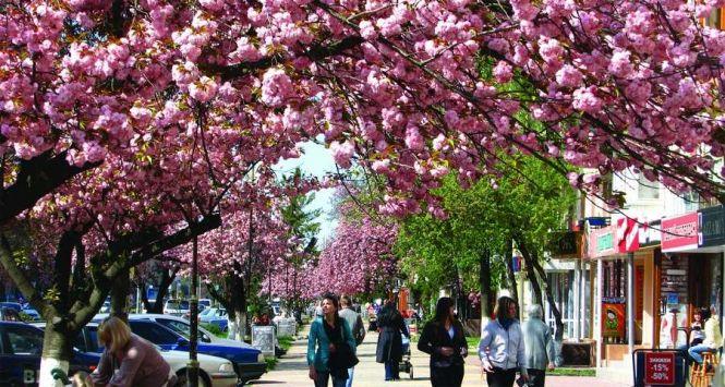 Новини Вінниці - фото з Час для подорожей. Дізналися, куди пропонують поїхати вінницькі турагенції весною Час для подорожей. Дізналися, куди пропонують поїхати вінницькі турагенції весною, фото №3 на сайті 20minut.ua