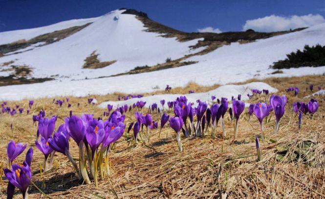 Новини Вінниці - фото з Час для подорожей. Дізналися, куди пропонують поїхати вінницькі турагенції весною Час для подорожей. Дізналися, куди пропонують поїхати вінницькі турагенції весною, фото №2 на сайті 20minut.ua