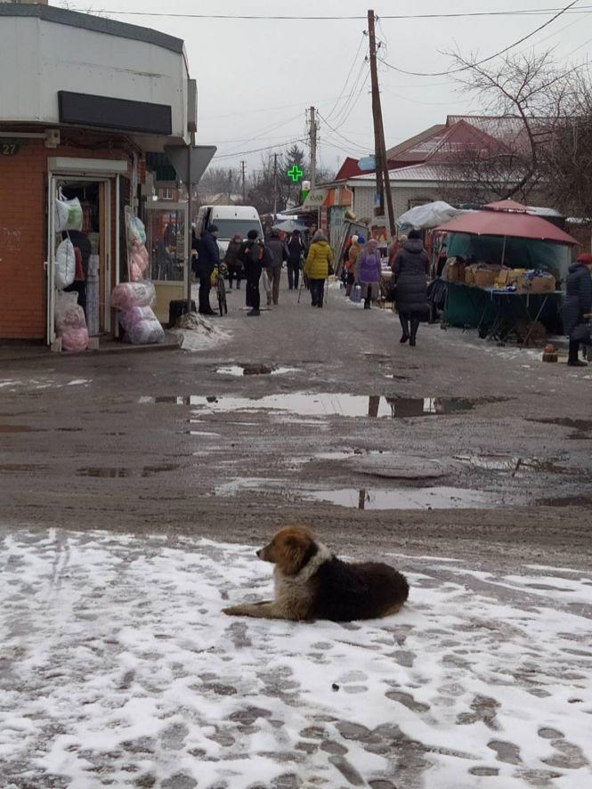Козятин в перший день весни: фоторепортаж з вулиць міста, фото №4 на сайті 20minut.ua