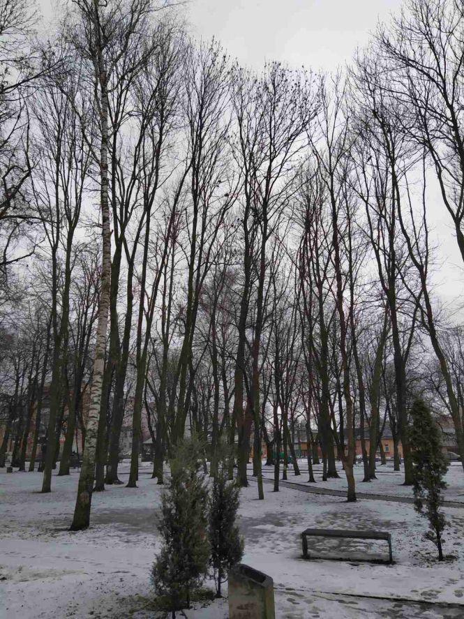 Козятин в перший день весни: фоторепортаж з вулиць міста, фото №7 на сайті 20minut.ua