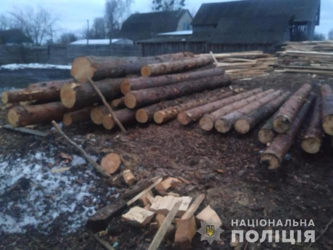 Новини Житомира - фото з На Романівщині знову припинили роботу нелегальної пилорами На Романівщині знову припинили роботу нелегальної пилорами, фото №1 на сайті 20minut.ua