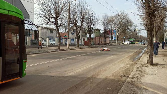 На Покровській авто насмерть збило 50-річну жінку з собакою. ФОТО, фото №1 на сайті 20minut.ua