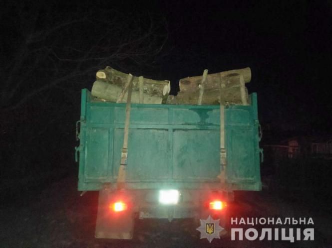На  Житомирщині поліцейські затримали вантажівки з необлікованим лісом, фото №3 на сайті 20minut.ua