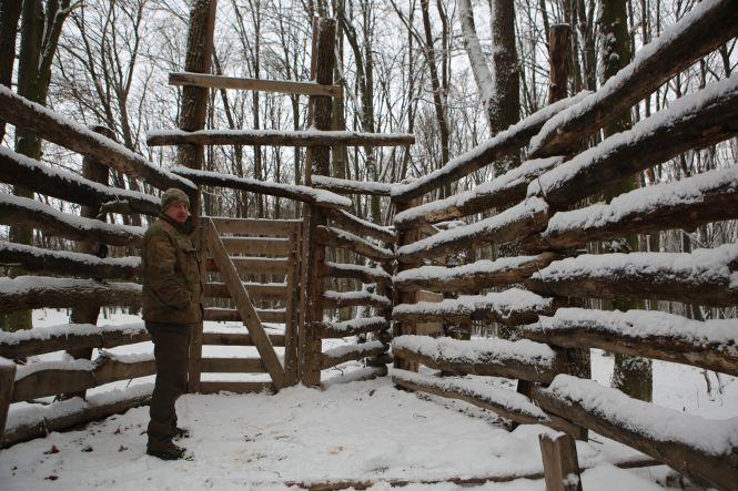 Новини Вінниці - фото з «Хочете побачити зубрів поближче?»: провели день з людьми, які охороняють червонокнижних тварин «Хочете побачити зубрів поближче?»: провели день з людьми, які охороняють червонокнижних тварин, фото №2 на сайті 20minut.ua