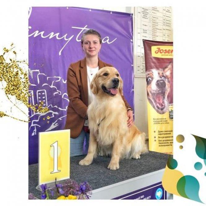 Новини Вінниці - фото з «Це потрібно всім тваринам». Хто такі грумери й що вони роблять для краси домашніх улюбленців? «Це потрібно всім тваринам». Хто такі грумери й що вони роблять для краси домашніх улюбленців?, фото №1 на сайті 20minut.ua