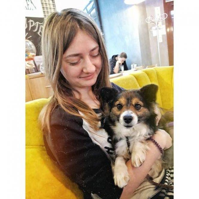 Новини Вінниці - фото з «Це потрібно всім тваринам». Хто такі грумери й що вони роблять для краси домашніх улюбленців? «Це потрібно всім тваринам». Хто такі грумери й що вони роблять для краси домашніх улюбленців?, фото №6 на сайті 20minut.ua